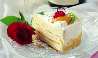 索愛烘焙產品介紹與最新資訊